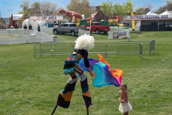 Stilt Performer at Chandler Arizona Ostrich Festival.