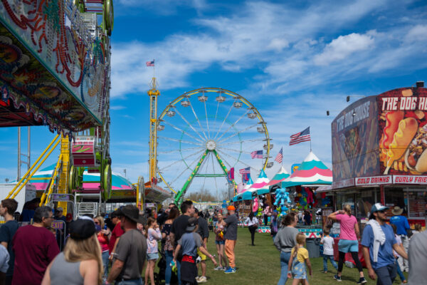 Attendees and Attractions at the Chandler Arizona Ostrich Festival